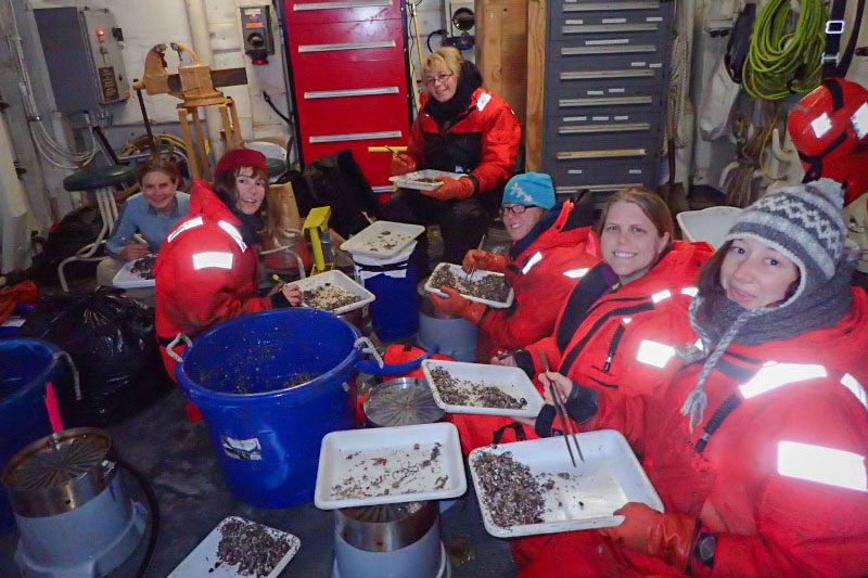 Members of the science team sort through rocks and mud to look for animals from the trawl.