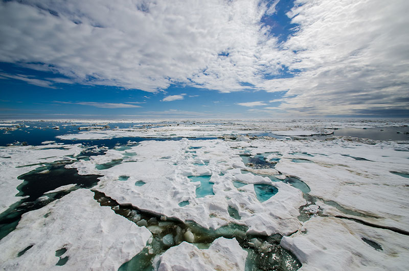The beautifully dramatic Arctic landscape spans across the horizon.