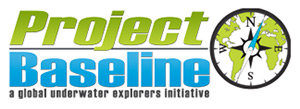 Project Baseline logo.