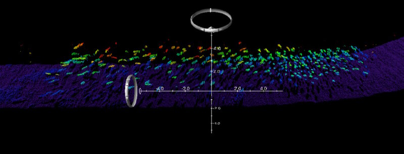 Multibeam image of a school of fish above the seabed.