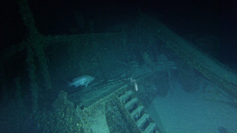 Wreck of the merchant vessel Bluefields.