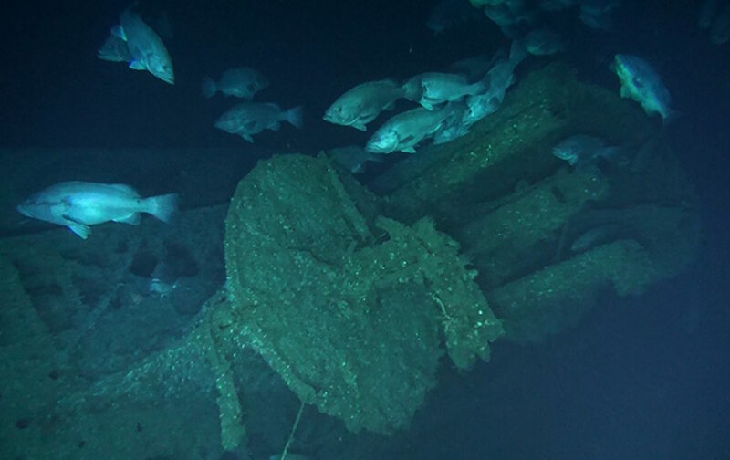 Grouper congregate around the conning tower.