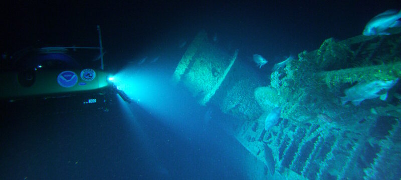 September 7: Biology of Shipwrecks from the Battle of the Atlantic