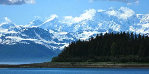 Ecology of Glacier Bay National Park