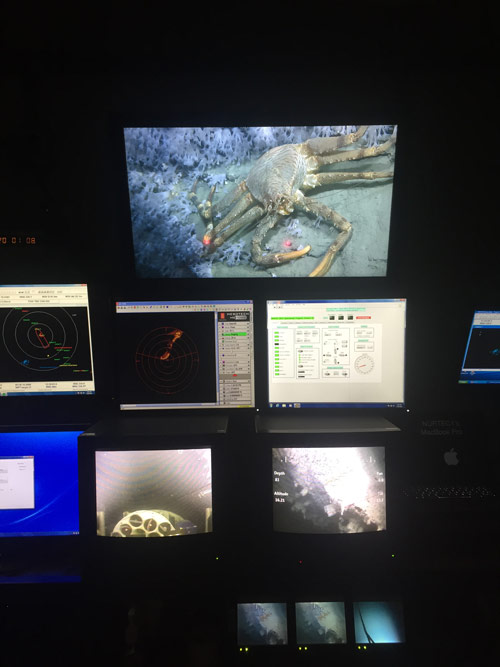The ROV control van as we investigated a scaled crab next to a wall of stoloniferous octocoral.