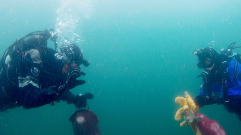 Communicating with your buddy about air consumption and safety is always important during scuba dives, but during a science dive you also need to be able to communicate about what samples to collect and where things stand with the particular objectives of the dive. This becomes even more important during dives where your bottom time is limited based on cold water temperatures and deep depths. Here two members of the dive team, Bob Stone and Rhian Waller, communicate during their safety stop. Both divers are wearing dry suits, gloves, and hoods to protect them from the cold water and carry bags full of samples as they prepare to head back to the boat.