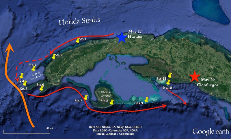 Figura 1. Mapa de los sitios del estudio (alfileres amarillos). Las flechas anchas naranjas indican la Corriente de Yucatán en alta mar, mientras que las flechas rojas indican las contracorrientes que rompen contra el arrecife.
