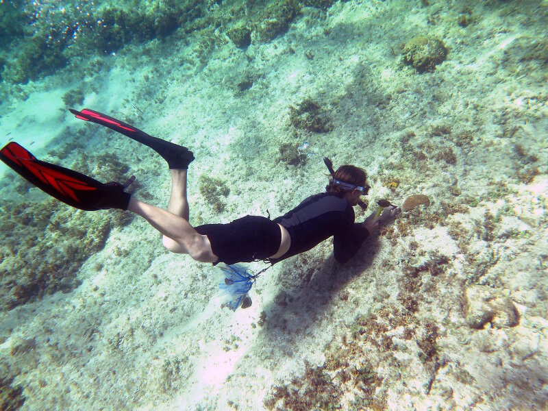 Shallow water coral sampling via snorkeling was conducted at three sites along the northern coast. With patience, determination, and a bit of helpful coaching, ROV pilot Jason White mastered the art of collecting coral biopsies.