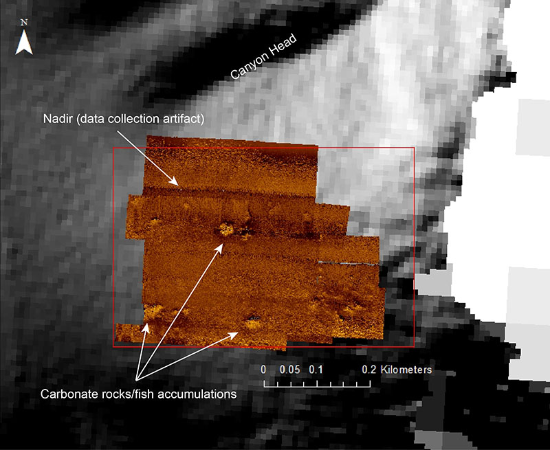 Processed side-scan mosaic over one of the focused survey sites. Several prominent features are present in the mosaic that correspond with carbonate rocks and fish aggregations seen in the photographs taken by Sentry during the same survey. Light colors represent harder material, while darker colors represent soft materials (i.e., sediment).