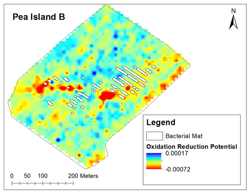 This map, created by Alanna Durkin in ArcGIS, shows interpolated change in oxidation reduction potential over time and the presence of bacterial mats at one of Pea Island B’s seeps.