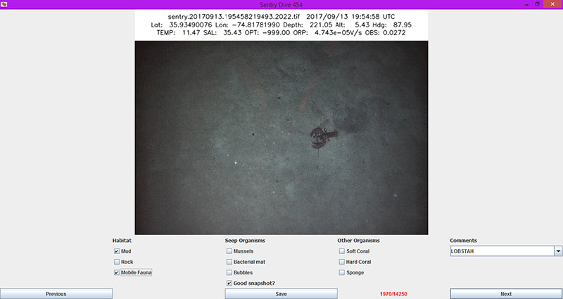 A screenshot of Alanna Durkin’s image notation software with an example photo from Dive 454 on Kitty Hawk. She is able to quickly record what kind of habitat she’s seeing and what sort of organisms are present. She can also add any additional comments on what she’s seeing and flag especially good snapshots for easy access.