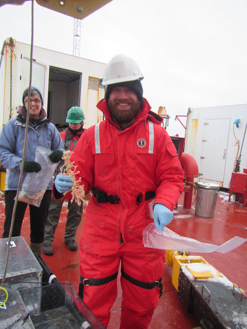 Smile for the camera! The successful retrieval of a Chondrocladia grandis specimen on board the CCGS Amundsen in the Canadian Arctic, 2015.