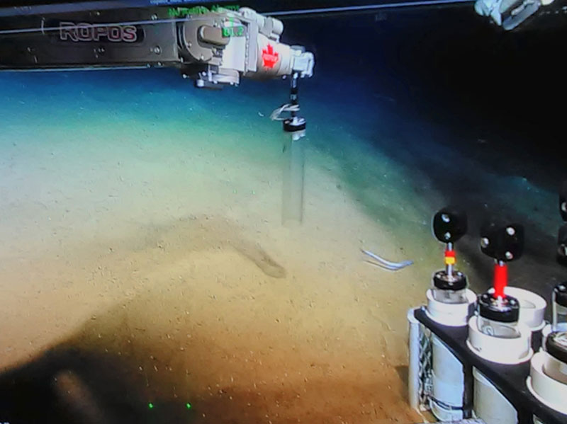 The ROPOS’ mechanical arm obtaining a sediment core in Corsair Canyon, Canada. Depth around 1,000 meters.