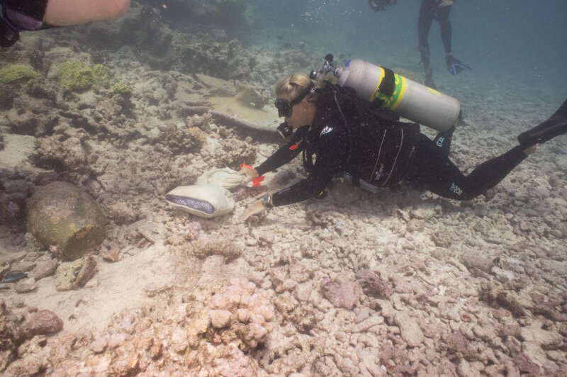 Dr. Keogh examining the jar associated with the Two Brothers whaling shipwreck site.