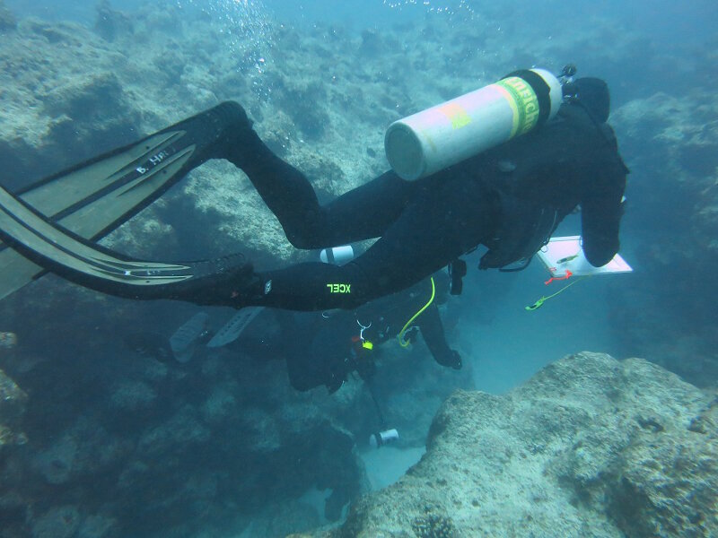 Diver Brian Hauk doing surveys.