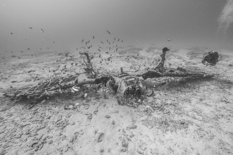 A National Park Service diver swims around the upside down wings of an World War II-era F4U Corsair lost at Midway Atoll, likely during a training accident.