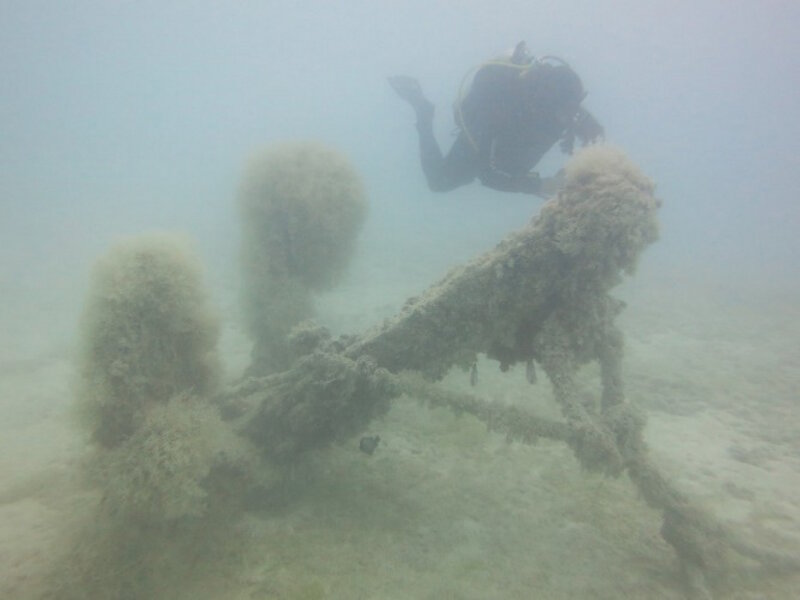 A diver investigating a survey anomaly for alien species and cultural significance.