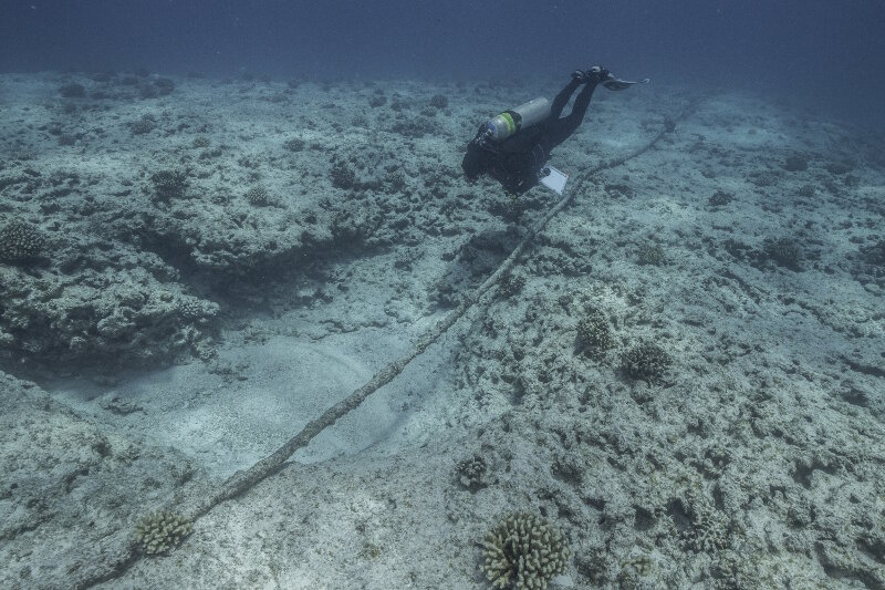 A diver investigates a magnetometer anomaly on the Midway seafloor and finds an old cable.
