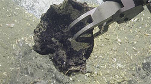 ROV Hercules grabs a carbonate rock sample from this habitat. Scientists study the chemical composition and microbial inhabitants of these rocks to provide important clues about fluid flow at seeps.