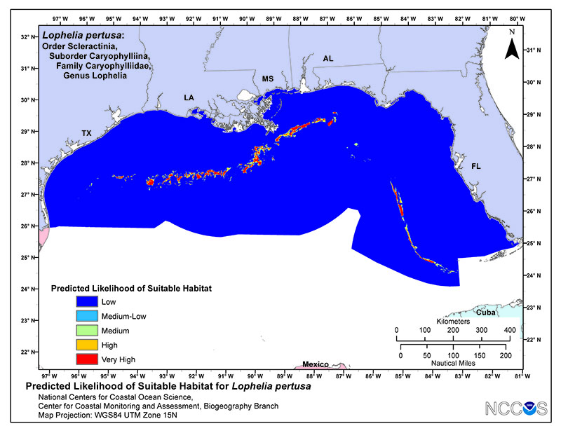 Example map depicting the predicted likelihood of suitable habitat for Lophelia pertusa in the U.S. Gulf of Mexico from a habitat suitability model. Warmer colors indicate areas predicted to be more likely to contain suitable habitat.