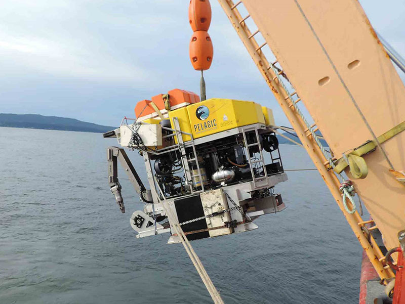 The ROV Odysseus, operated by Pelagic Research Services, will be used to survey seafloor areas on the West Florida Shelf that are predicted to have high densities of deep-sea corals and sponges.