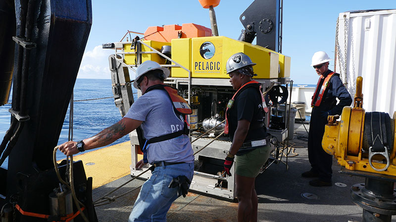 Paul Sanacore, BGL Leslie Allen, and Erik Hodges readying the ROV Odysseus, operated by Pelagic Research Services, to descend in a survey on the West Florida Shelf.