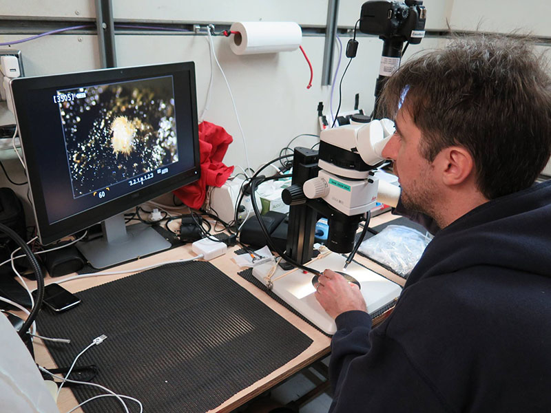 Dr. Adrian Glover inspects animals using a microscope while at sea.