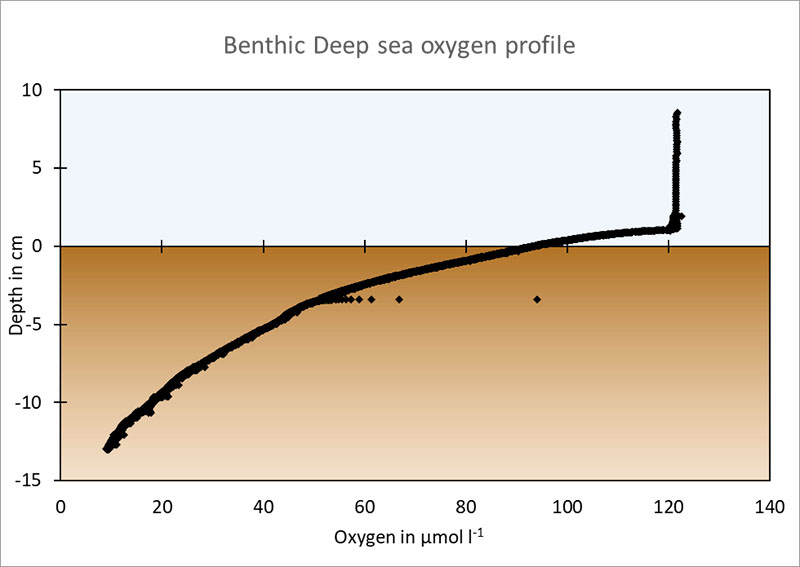 Oxygen sediment profile from APEI 7. X-axis: depth in centimeters above (blue) and in the sediment (brown). Y-axis: oxygen concentration in micromoles per liter.
