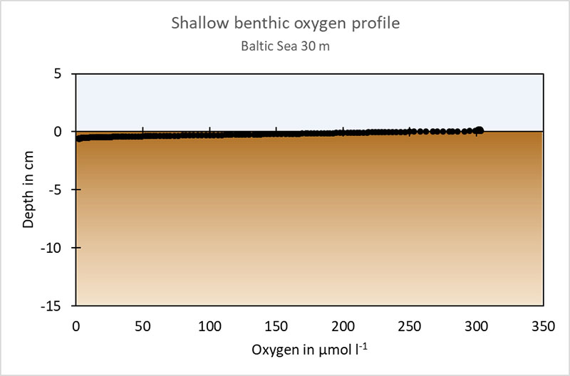 Oxygen sediment profile from the Baltic Sea. X-axis: depth in centimeters above (blue) and in the sediment (brown). Y-axis: oxygen concentration in micromoles per liter.