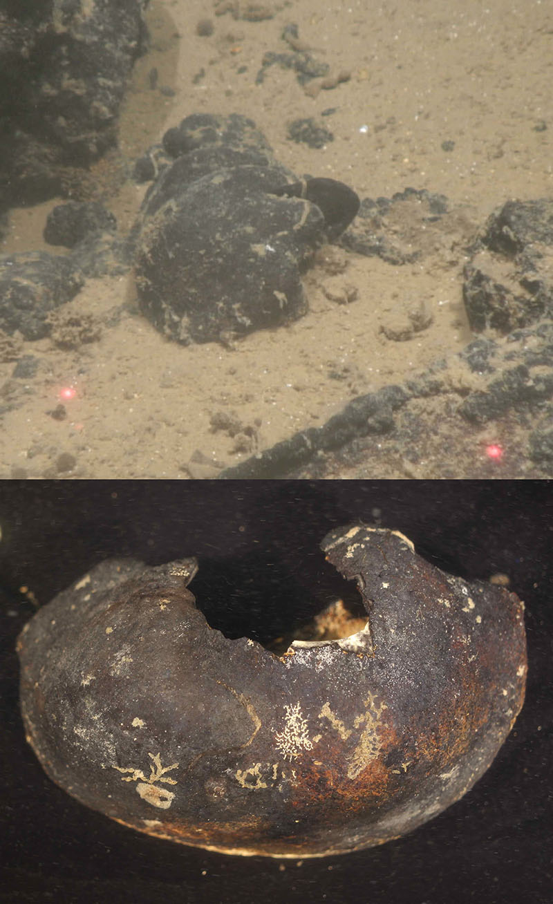 Upper: the manganese-encrusted ear bone of a whale amongst a small whale skull before it is sampled by the ROV. The distance between the two lasers is 15 centimeters. Lower: that same ear bone, photographed in the lab. The ear bones of whales can be used to identify species, even for extinct specimens. There is a possibility that ancient DNA still exists within the bone tissue, preserved in the cold stable conditions of the abyssal plain, and protected by the manganese crust. 