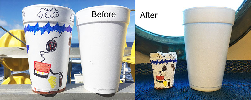 A decorated cup before and after it was sent down to 5,000 meters on a CTD cast on the abyssal plain, with a normal cup for scale. This cup shrunk from 13.5 centimeters tall to only 6.5 centimeters.