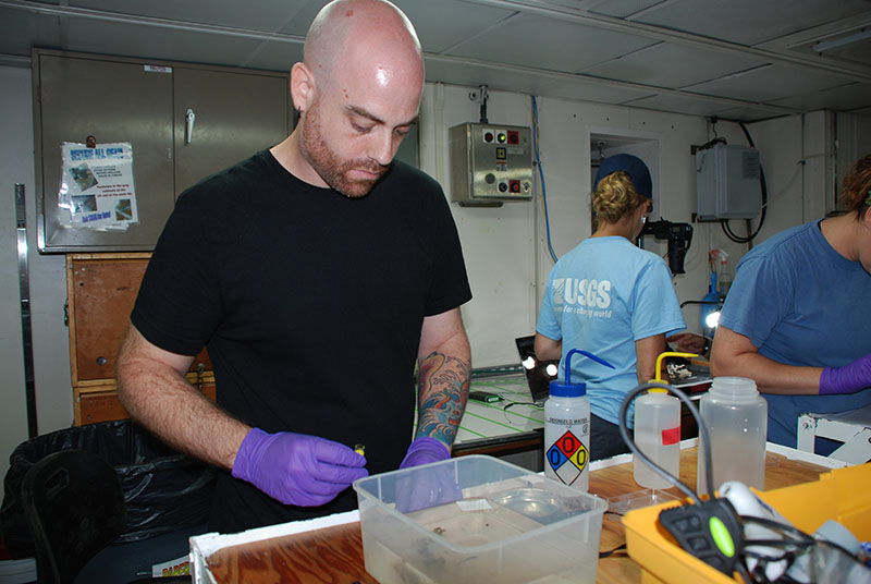Jonathan Quigley collects tissue samples from a coral collection for future chemical analysis.
