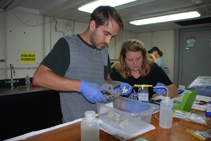 Ryan Gasbarro uses coral cutters to collect a segment of Lophelia pertusa for preservation.