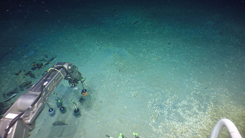 Human-occupied vehicle Alvin uses one of its manipulator arms to collect a set of geologic push cores from the seafloor during the DEEP SEARCH expedition.