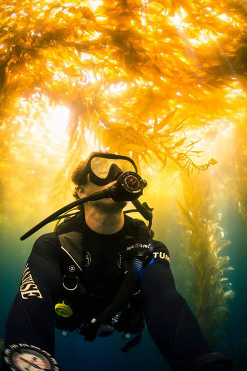 Team videographer, Kyle McBurnie, diving in the kelp forests of southern California.