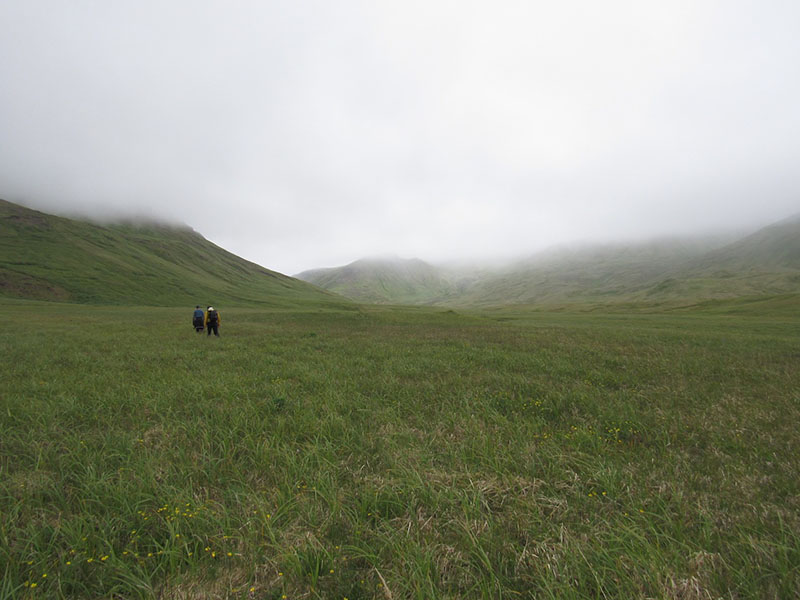 The adventure begins, hiking through a valley on the north side of Kiska Island.
