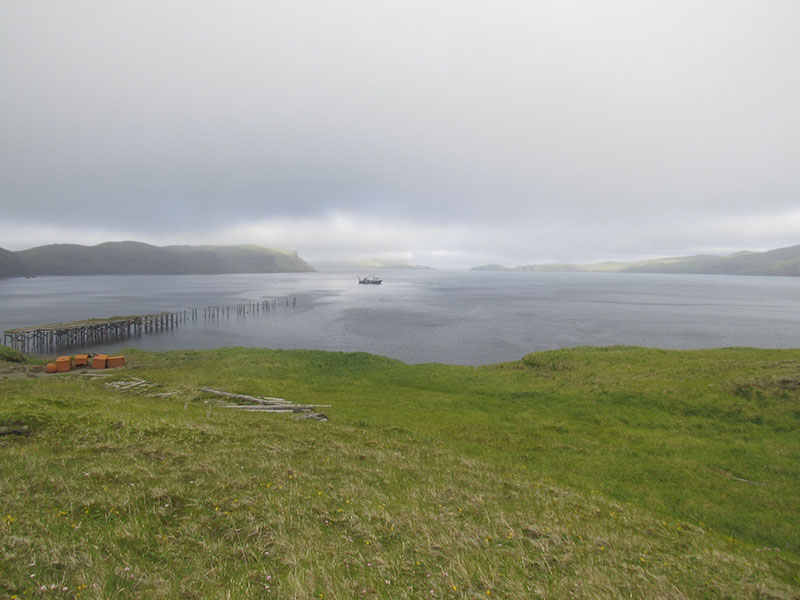 R/V Norseman II coming out of the fog into Kiska Harbor to pick us up for dinner after our hike across the Island.