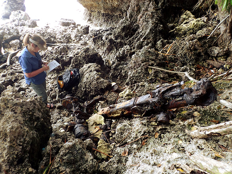 Toni Carrell examining a recently exposed Japanese gun eroding out of a defensive position. An unusual storm in October 2017 unearthed a number of items formerly buried on the shoreline and undermined this location.