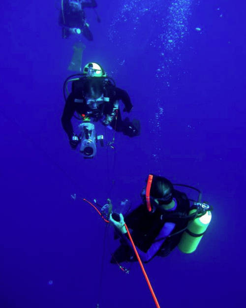 Sonke Johnsen, Justin Marshall, and Mark Hooper blue-water diving in the Bahamas.