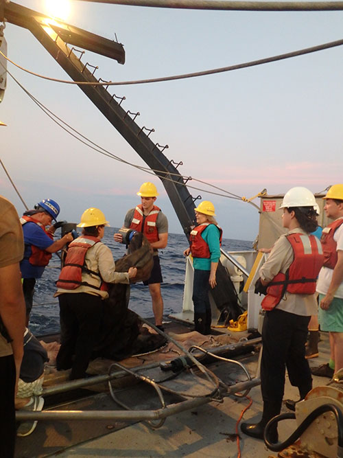 Scientists and boat crew getting the Tucker Trawl ready for deployment.