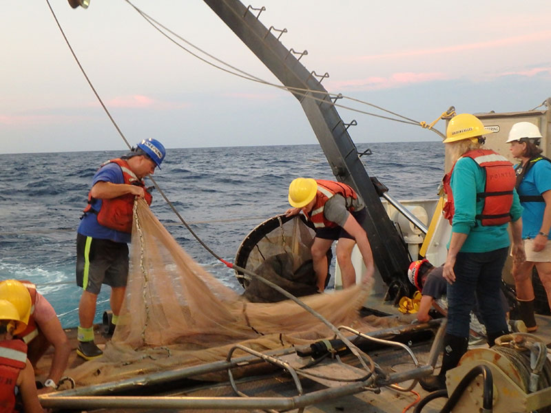 Team setting up for a Tucker trawl deployment; Photo: M. McCall