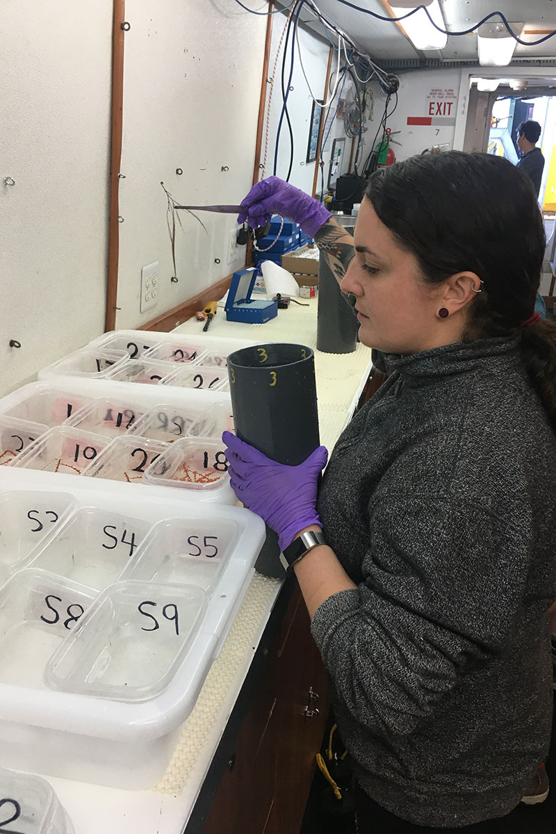 NOAA contractor Janessy Frometa processes mesophotic coral samples collected at Diaphus Bank at 90-100 meters (295-328 feet) depth.