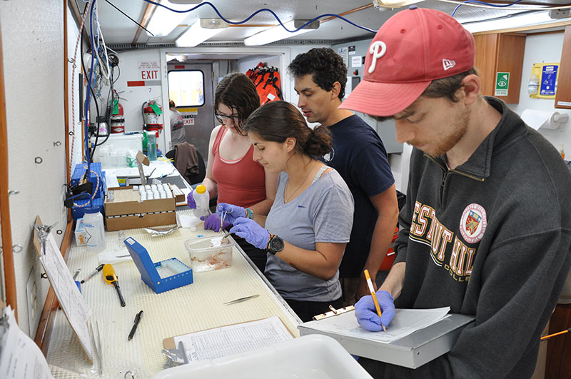Science teams must work quickly to process ROV-collected samples for proper preservation.
