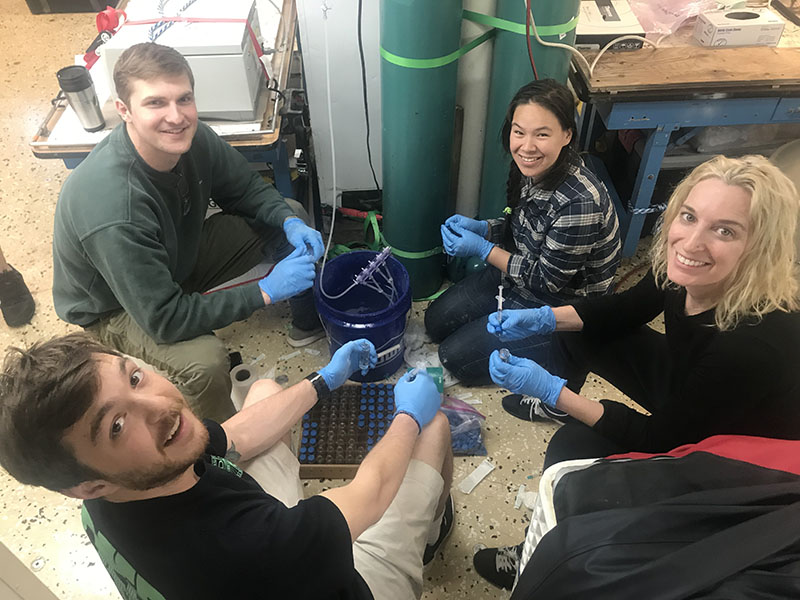 Josh Parris, Hannah Choi, Kate Segarra, and Dylan Wilford help the Joye Lab to prepare brine vials for dissolved gas sampling.