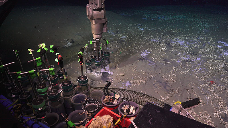 The DEEP SEARCH team collected four sets of push cores with ROV Jason at Blake Ridge Seep..