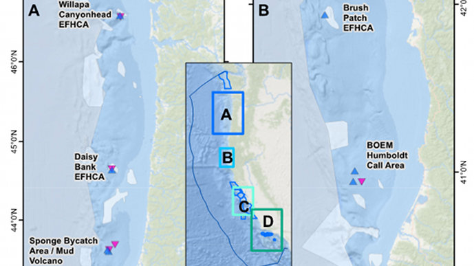 Locations of the 15 sites successfully surveyed during the Surveying Deep-sea Corals, Sponges, and Fish Habitat expedition.