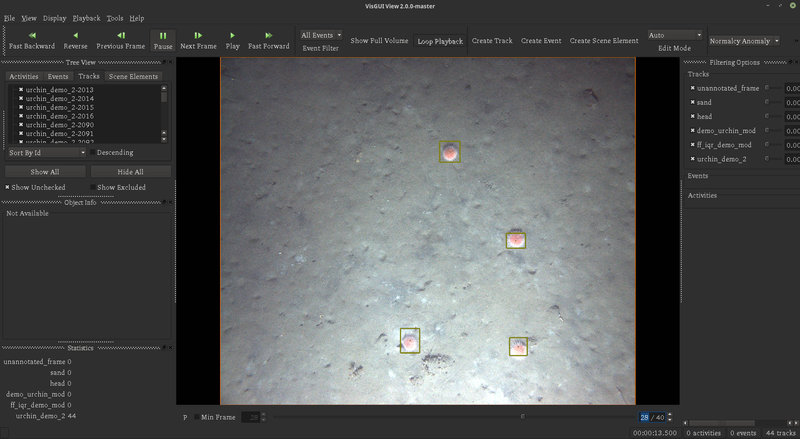 Screenshot from VIAME showing the pink urchins that were detected in this AUV image.