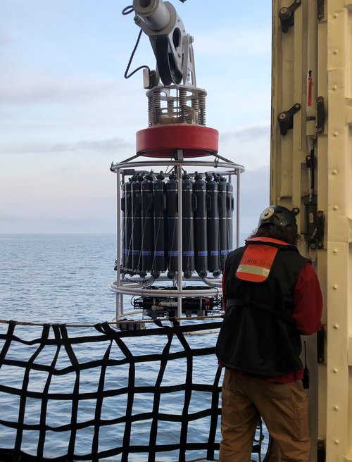 The CTD instrument is lowered into the water to measure the water column profiles.