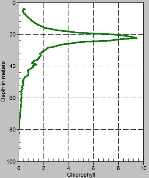 The image shows water column depth on the vertical axis and the amount of fluorescence on the horizontal axis. The spike in fluorescence, a measure of chlorophyll, can be seen at 22 m.