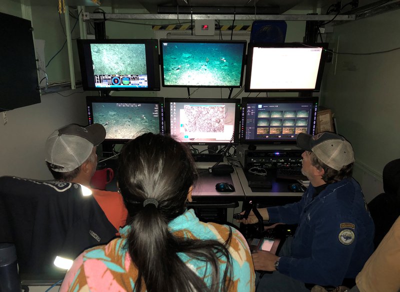 Inside the ROV control van, pilots and scientists alike are fascinated by the underwater world to be discovered.